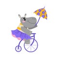 Circus Grey Hippo Animal with Umbrella Ride Bicycle Vector Illustration