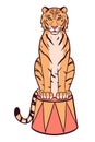 Circus illustration with tiger