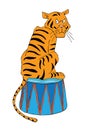 Circus illustration, tiger