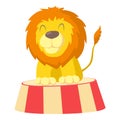 Circus lion icon, cartoon style