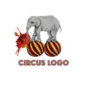 Circus logo on white isolated background. Elephant with balls