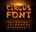 Circus marquee fonts on brick wall background. Vector