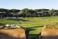 Circus Maximus Rome Italy Royalty Free Stock Photo