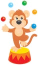 Circus monkey Royalty Free Stock Photo