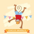 Circus Monkey, vector animal series. Royalty Free Stock Photo