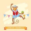 Circus Monkey, vector animal series. Royalty Free Stock Photo