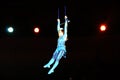 Woman gymnast equilibrist performing under circus dome Royalty Free Stock Photo