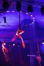 Circus performers perform acrobats on canvases. A cute team performs acrobatic elements in the