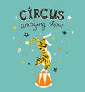 Circus poster with cartoon tiger on the blue background with stars. Vector carnival card.