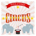 Circus poster Royalty Free Stock Photo