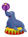 Circus seal playing a ball