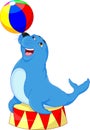 Circus seal playing a ball