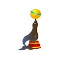 Circus seal playing with yellow ball on red round stand