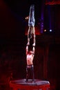 Circus show performance Baronets in Nizhny Novgorod Royalty Free Stock Photo