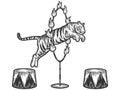 Circus, tiger jumping through a ring of fire. Sketch scratch board imitation. Royalty Free Stock Photo