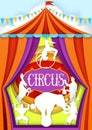 Circus Vector Paper Cut Poster Design Template
