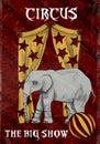 Circus vintage poster with elephant