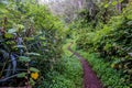 Cirque de Salazie in La Reunion island Royalty Free Stock Photo