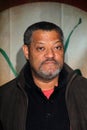 Cirque du Soleil, Laurence Fishburne