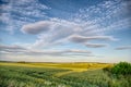 Cirro-cumulus clouds in a blue sky over the wheat field