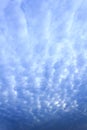 Cirrocumulus