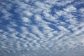 Cirrocumulus clouds