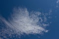 Cirrocumulus clouds in a blue sky Royalty Free Stock Photo