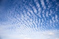 Cirrocumulus clouds over Eastfrisia Royalty Free Stock Photo