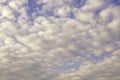 Cirrocumulus clouds Royalty Free Stock Photo