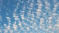 Cirrocumulus clouds in the blue sky, Cirrocumulus clouds with small and rounded cloudlets Royalty Free Stock Photo