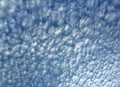 Cirrocumulus clouds in the sky