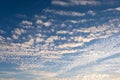 Cirrocumulus clouds sunset sky cloudscape background pattern Royalty Free Stock Photo
