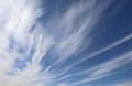 cirrostratus in the blue sky in summer Royalty Free Stock Photo