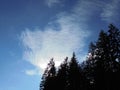 Cirrostratus cloud resembling rabbit head covering sun seting behind forests