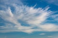 Cirrostratus clouds, feathery cloud, curl cloud in blue sky with