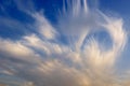 Cirrostratus clouds in blue sky with light orange color from evening sun