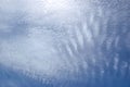 Cirrostratus clouds and a blue sky. Royalty Free Stock Photo