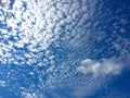 Cirrus aerial white clouds against a blue sky