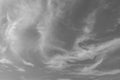 Cirrus or Cirrostratus clouds & soft fluffy white cloudscape on moody black sky & scary gray horizon