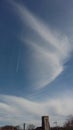 Cirrus Clouds as feathers in the sky!