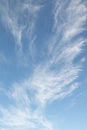 Cirrus clouds, Ci,