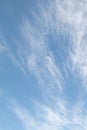 Cirrus clouds, Ci,