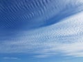 Cirrus clouds on a clear blue sky. Weather forecast. Water in a gaseous state in nature. The atmosphere of the earth. The effect o