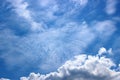 Cirrus clouds with cumulus clouds form an abstraction - a ghost forest