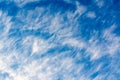 Cirrus clouds float on the blue sky