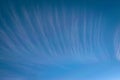 Cirrus clouds high up in the sky Royalty Free Stock Photo