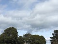 Cirrus clouds over tree tops and a pair of red and white transition towers. Royalty Free Stock Photo