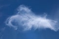 Cirrus clouds in the polar regions of Yamal