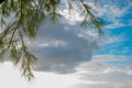 Cirrus,Trees and sky.Dark Sky with clouds. Meteorology, climate