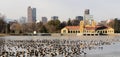 Cirt Park Lake Ferril Frozen Water Migrating Geese Royalty Free Stock Photo